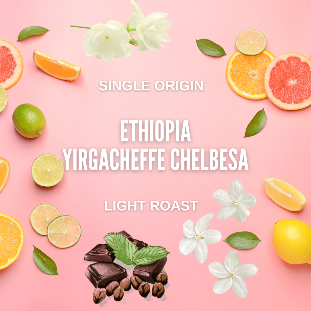 Ethiopia Yirgacheffe Chelbesa